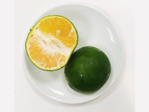 飴益團膳，餐盒承包